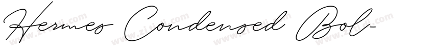 Hermes Condensed Bol字体转换